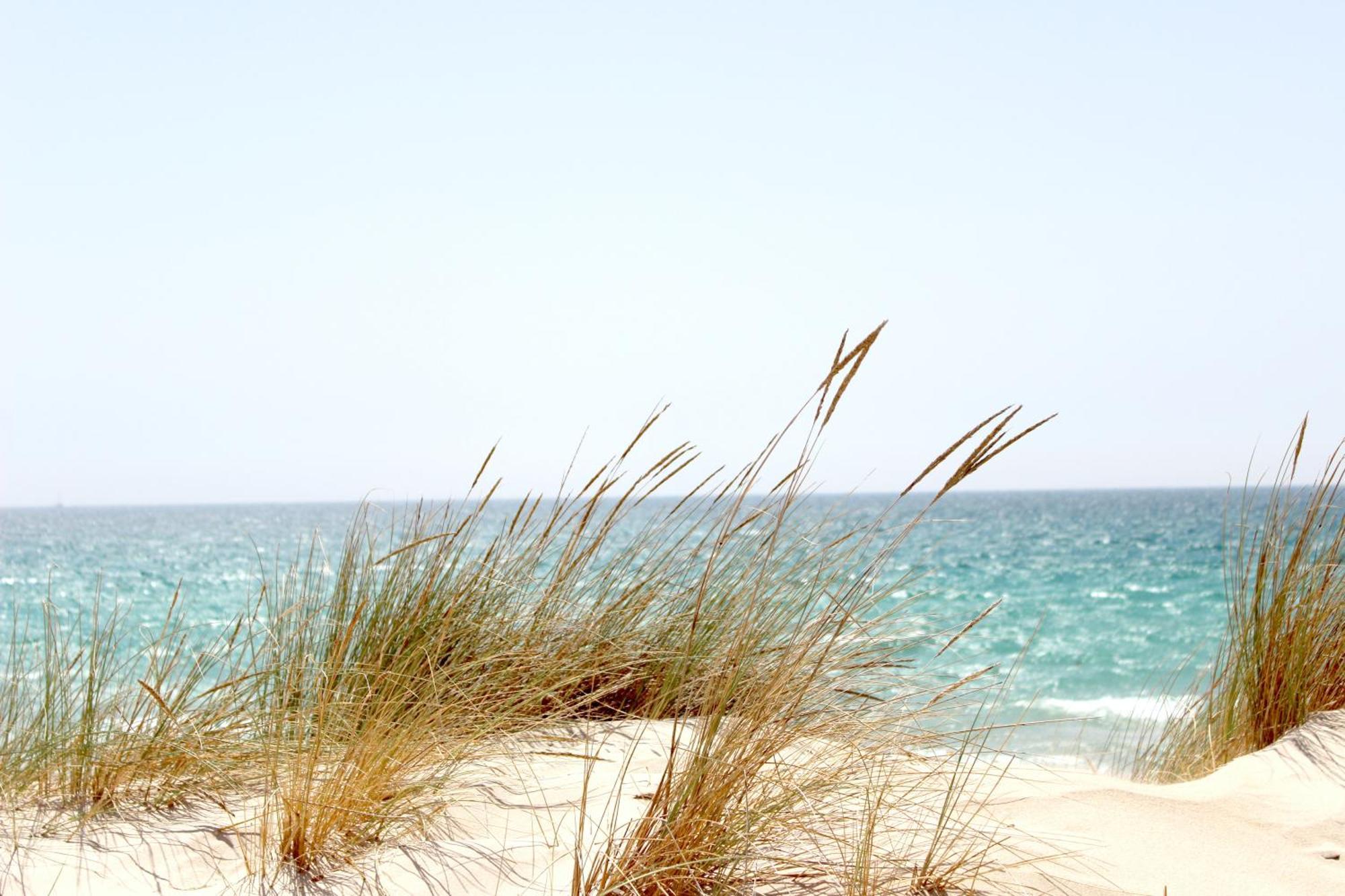 Ocean Sands Beach Inn (Adults Only) St. Augustine Exteriör bild