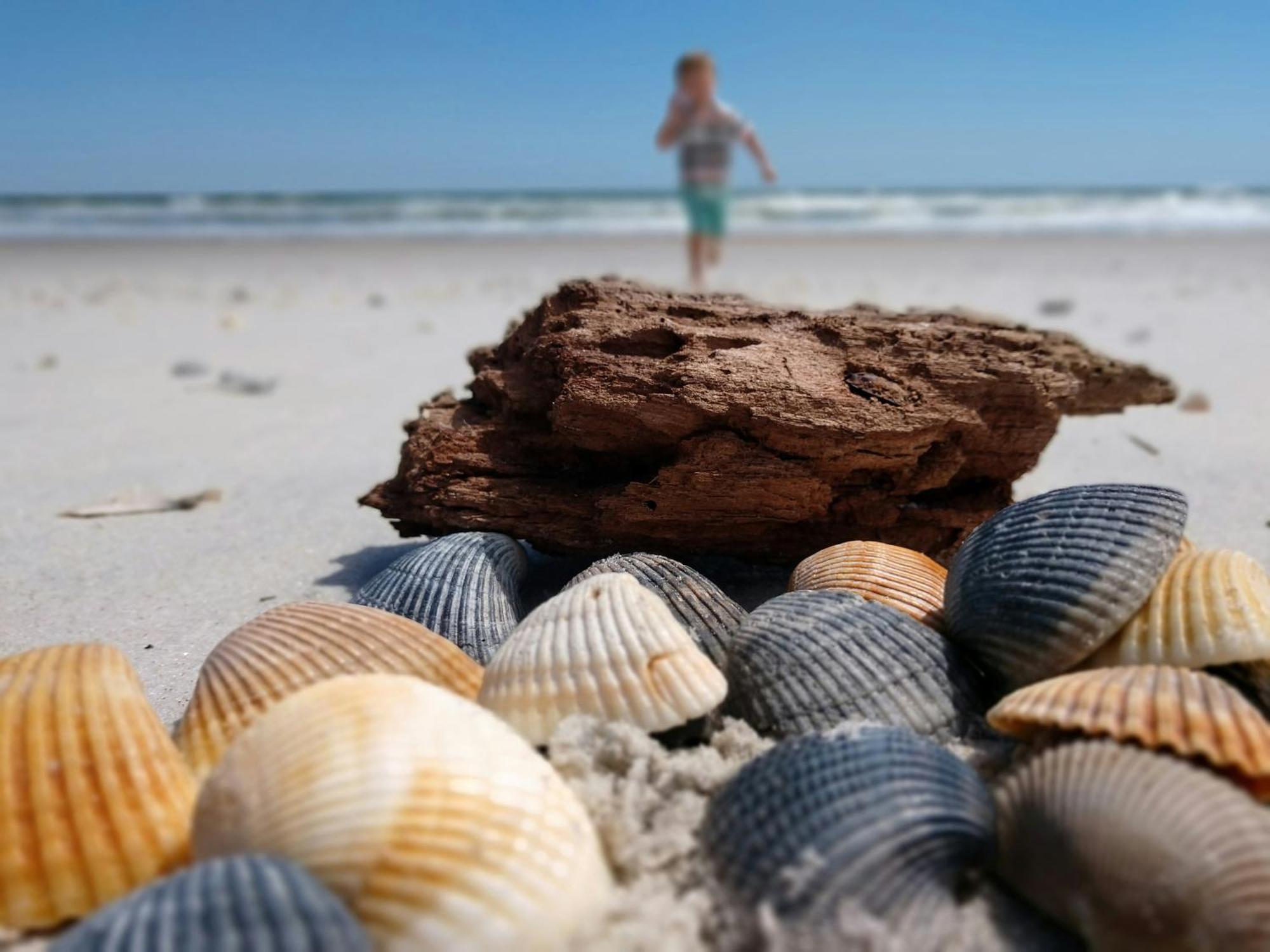 Ocean Sands Beach Inn (Adults Only) St. Augustine Exteriör bild